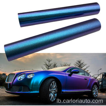 Auto Vinyl Wrapping Film Shop